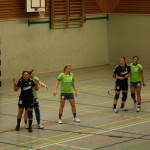 TSG Calbe gegen TSV Niederndodeleben (19.01.2013)