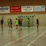 TSG Calbe gegen TSV Niederndodeleben (19.01.2013)